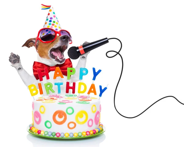 Feliz cumpleaños perro Imágenes De Stock Sin Royalties Gratis