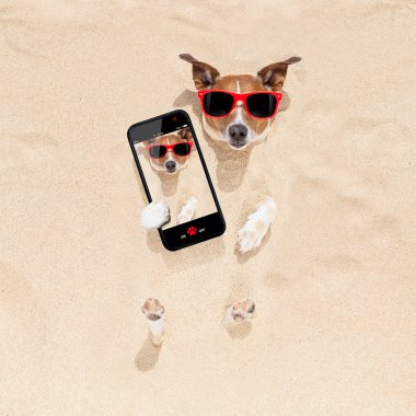 kum selfie gömülü köpek