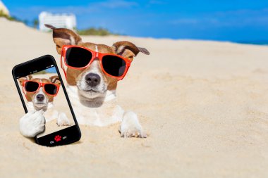 kum selfie gömülü köpek