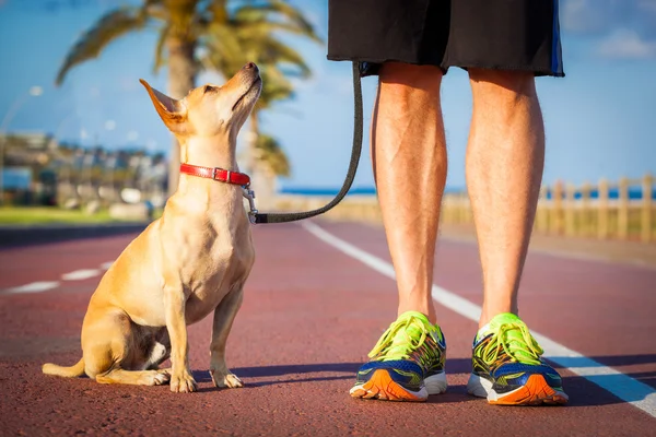 Cane e proprietario a piedi — Foto Stock