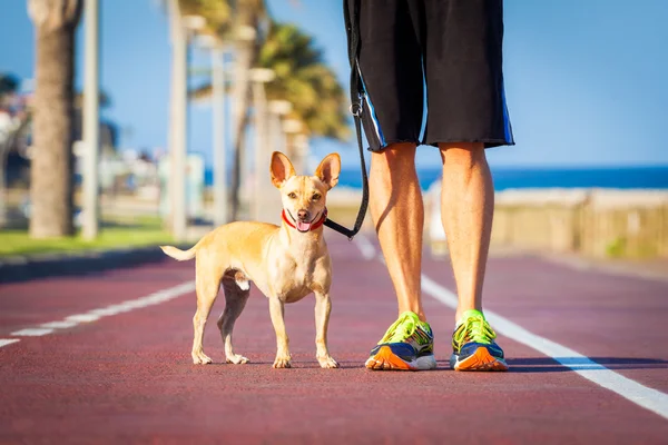 Cane e proprietario a piedi — Foto Stock