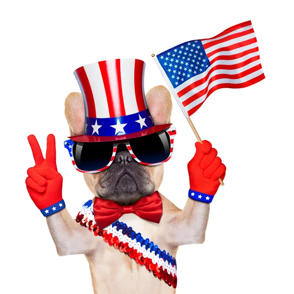 4th oh july dog Royalty Free Stock Images