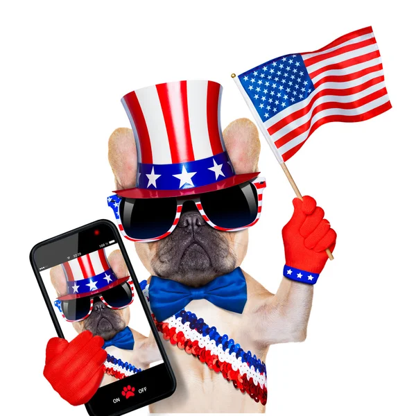 4th oh july dog — Stock Photo, Image