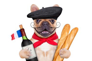 Fransız şarap köpek