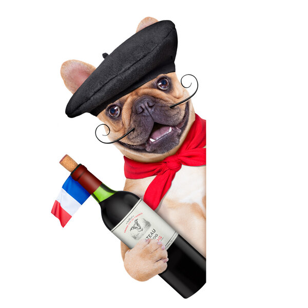 french dog