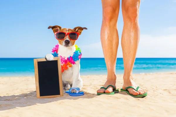 Dog and owner  summer holidays — Stock Photo, Image