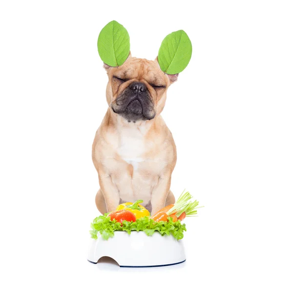 Vegan dog — Stock Photo, Image