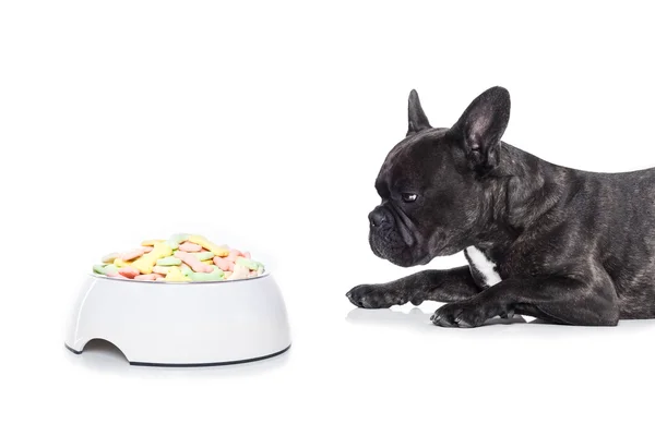 Głodny pies rezygnować zdrowy miski — Zdjęcie stockowe