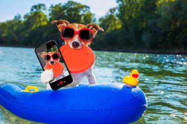 plaj yaz köpek selfie