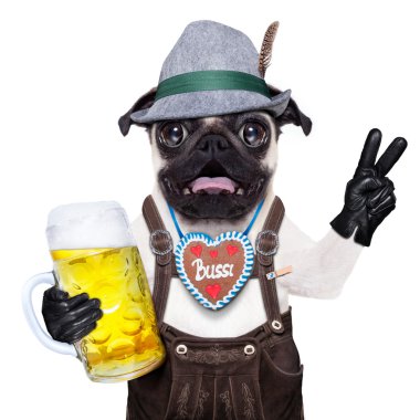 Sürpriz çılgın Bavyera köpek