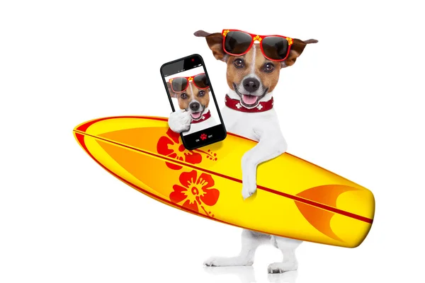 Surfen hond selfie — Stockfoto