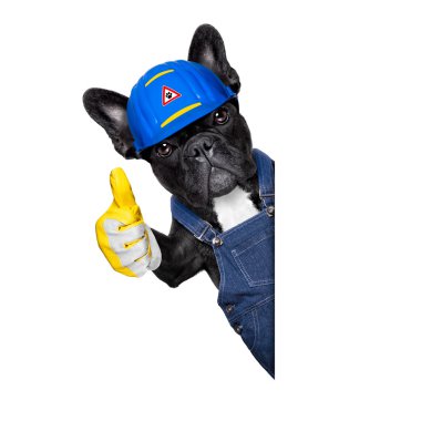 köpek tamirciyle