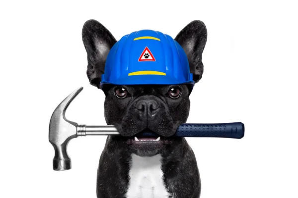 Heimwerker Hammerhund — Stockfoto