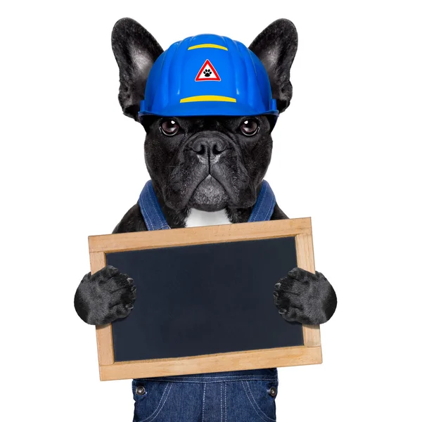 Handyman perro — Foto de Stock