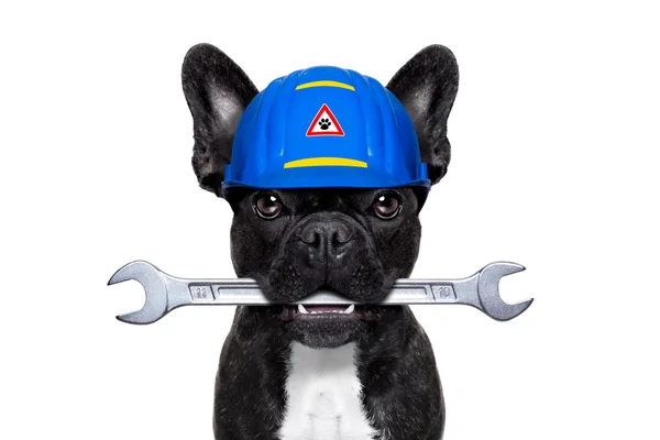 Handyman wrench cão — Fotografia de Stock