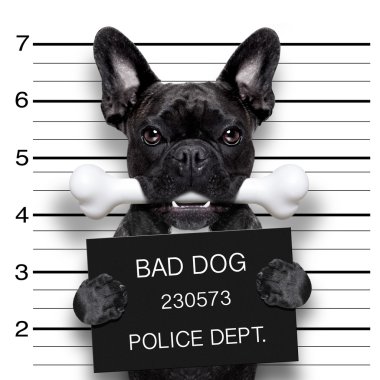 mughsot köpek kemiği