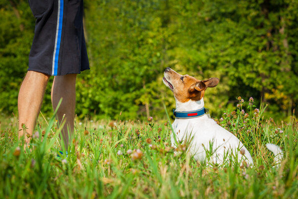 dog and owner teaching