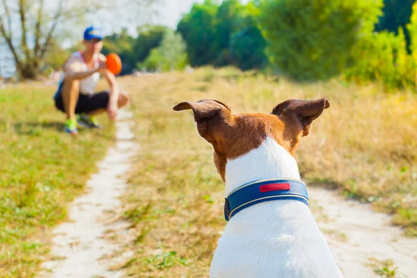 Perro y propietario jugando — Foto de Stock