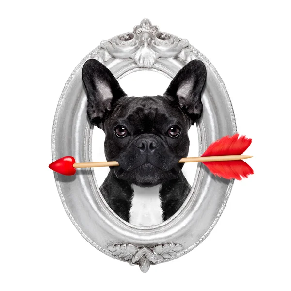 Valentines steeg hond — Stockfoto