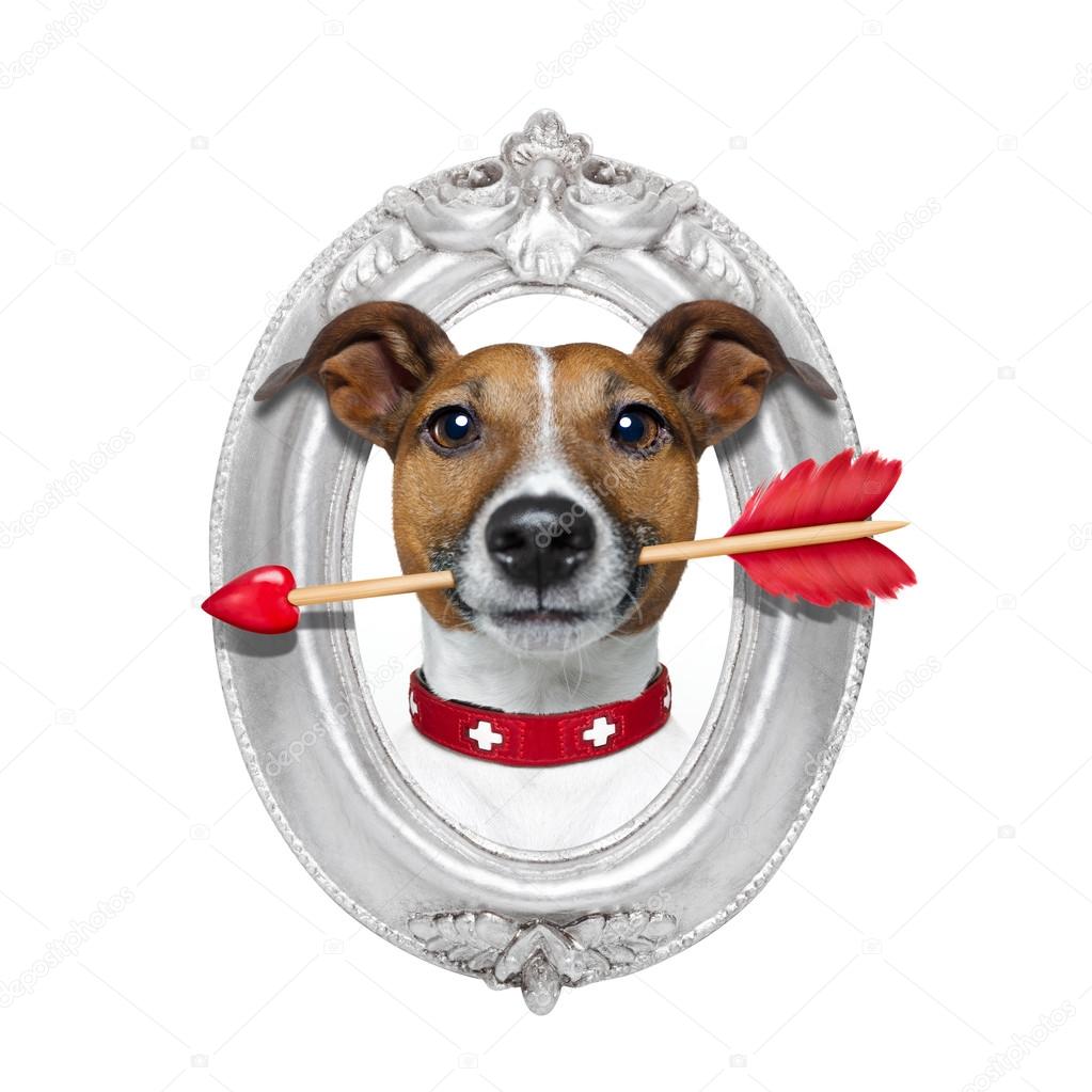 valentines arrow dog in frame