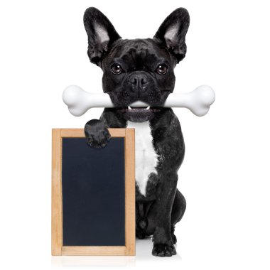 köpek kemik ile 