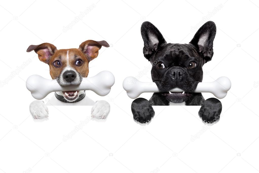 Porte Os M Boneguard Avec Corde Pour Chien