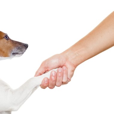 köpek ve sahibi el sıkışma