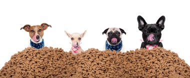 group of dogs behind mound food clipart