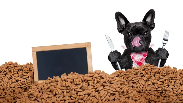 Hungry dog  behind mound food — Stock Photo, Image