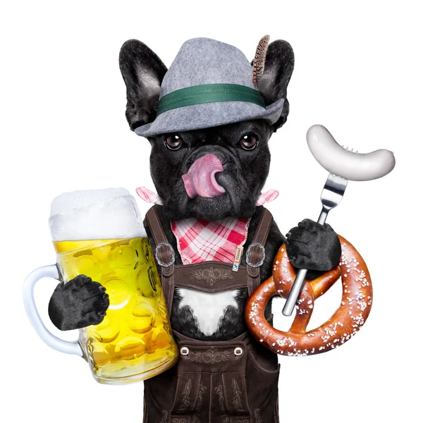 Bawarskie piwo celebracja pies — Zdjęcie stockowe