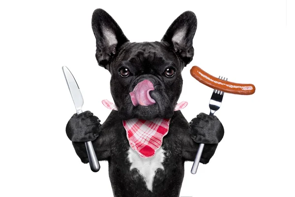 Hungry dog  with sausage — Stock Photo, Image