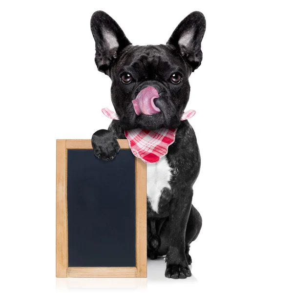 Hungry dog  with blackboard — Stock Photo, Image