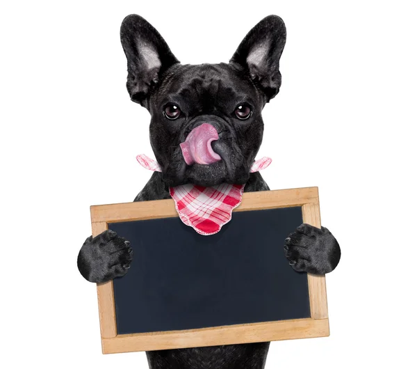 Hungry dog   with blackboard — Stock Photo, Image