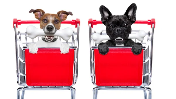 Shopping cart dogs — Stock Photo, Image