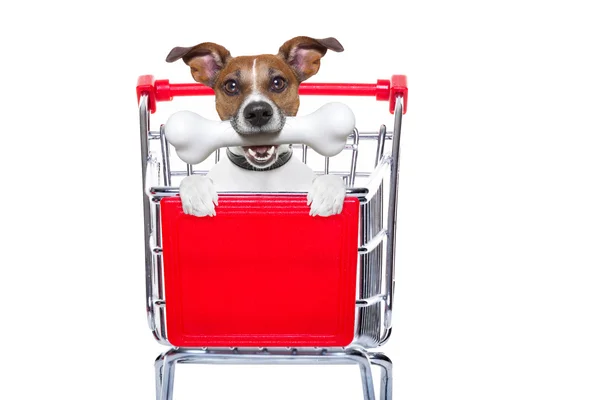 Shopping cart dog — Stock Photo, Image