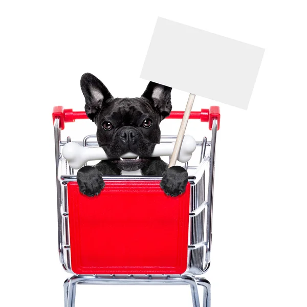 Shopping cart dogs — Stock Photo, Image