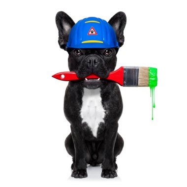 Tamirci ressam köpek