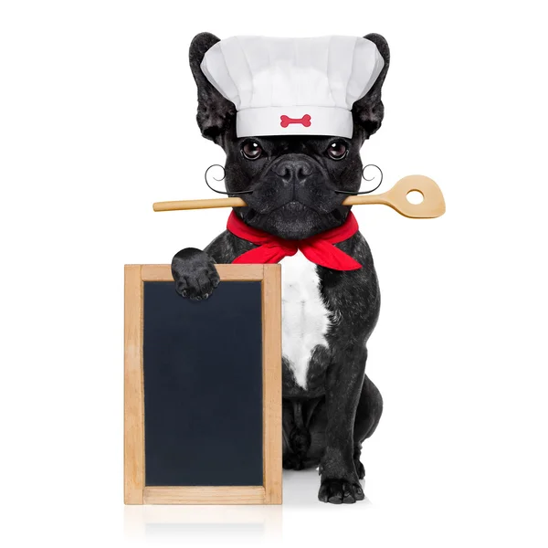 Chef cozinheiro cão — Fotografia de Stock