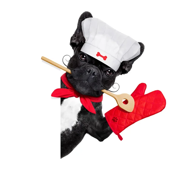 Chef-kok hond — Stockfoto