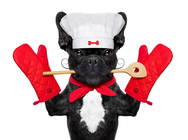 Kuchař kuchař pes — Stock fotografie