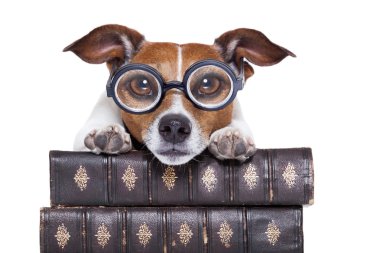 dog reading books clipart