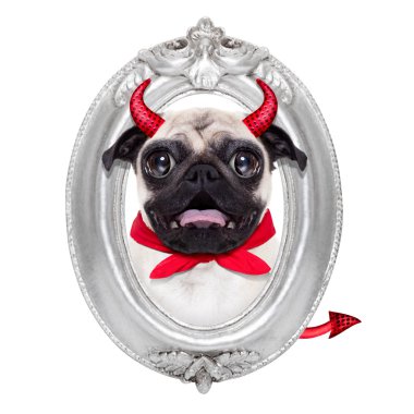 Cadılar Bayramı şeytan köpek