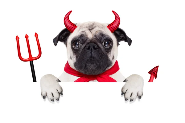 Perro diablo de Halloween — Foto de Stock