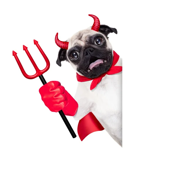 Perro diablo de Halloween — Foto de Stock