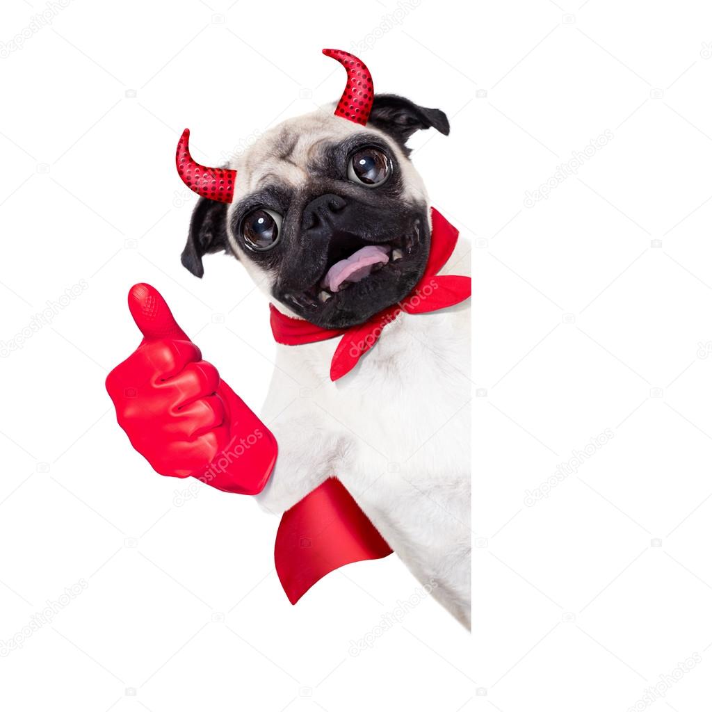 halloween devil dog