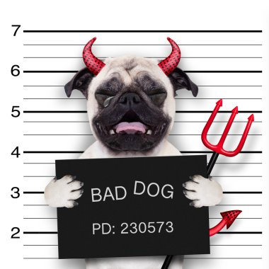 Cadılar Bayramı mugshot köpek