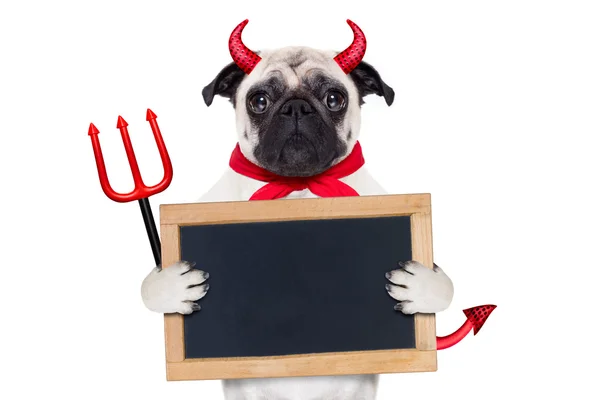 Halloween djävulen hund — Stockfoto