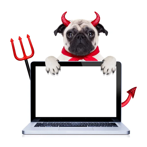 Perro diablo de Halloween — Foto de Stock