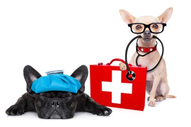 Tıp doktoru hasta ve hasta köpekler