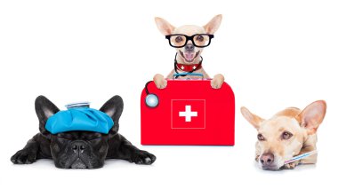 Tıp doktoru hasta ve hasta köpekler